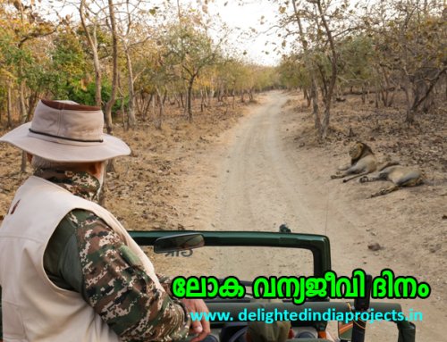The Prime Minister took a safari at the Gir Wildlife Sanctuary in Gujarat  ഗുജറാത്തിലെ ഗിർ വന്യജീവി സങ്കേതത്തിൽ സഫാരി നടത്തി പ്രധാനമന്ത്രി   2025 March 3  