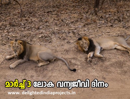 The Prime Minister took a safari at the Gir Wildlife Sanctuary in Gujarat  ഗുജറാത്തിലെ ഗിർ വന്യജീവി സങ്കേതത്തിൽ സഫാരി നടത്തി പ്രധാനമന്ത്രി   2025 March 3  