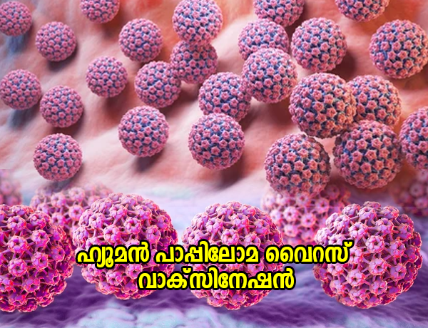 എച്ച്പിവി വാക്‌സിനേഷന് ഇന്ന് രാജ്യത്ത് തുടക്കം  പ്രധാനമന്ത്രി ഉദ്ഘാടനം ചെയ്യും  ഗർഭാശയഗള ക്യാൻസറിനെ തോൽപ്പിക്കാൻ ഒരു കുത്തിവെപ്പ്